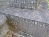 image of grave number 657618